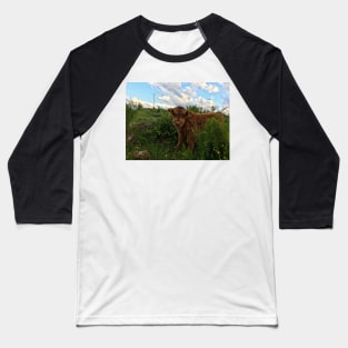 Scottish Highland Cattle Calf 1773 Baseball T-Shirt